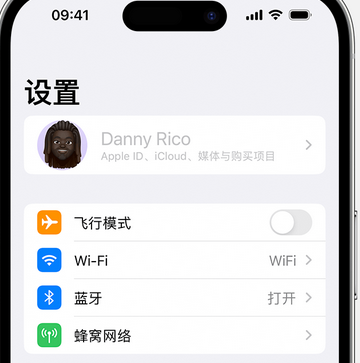 金川appleID维修服务iPhone设置中Apple ID显示为灰色无法使用 