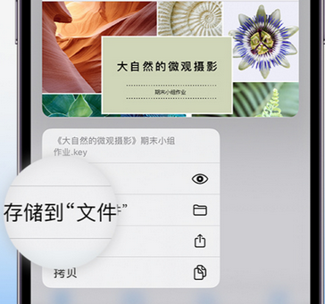 金川apple维修中心分享iPhone文件应用中存储和找到下载文件