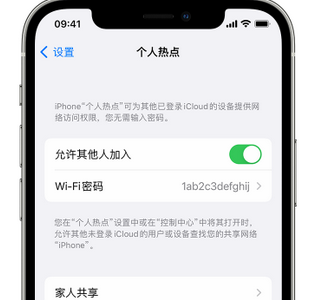 金川apple服务站点分享iPhone上个人热点丢失了怎么办 