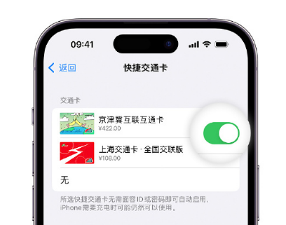 金川apple维修点分享iPhone上更换Apple Pay快捷交通卡手绘卡面 