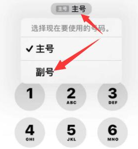 金川苹果14维修店分享iPhone 14 Pro Max使用副卡打电话的方法 