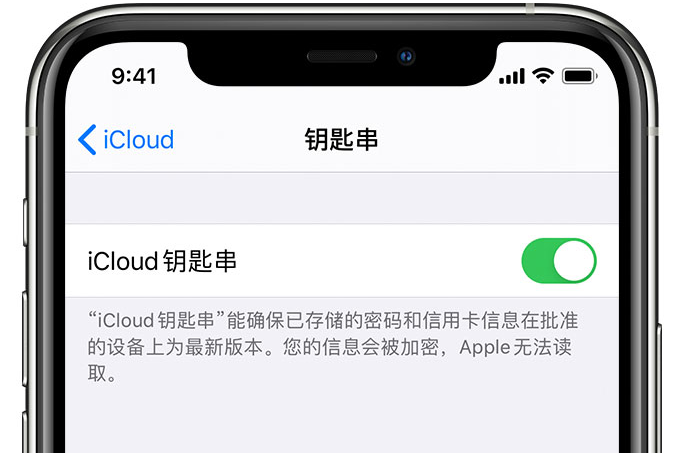 金川苹果手机维修分享在 iPhone 上开启 iCloud 钥匙串之后会储存哪些信息 